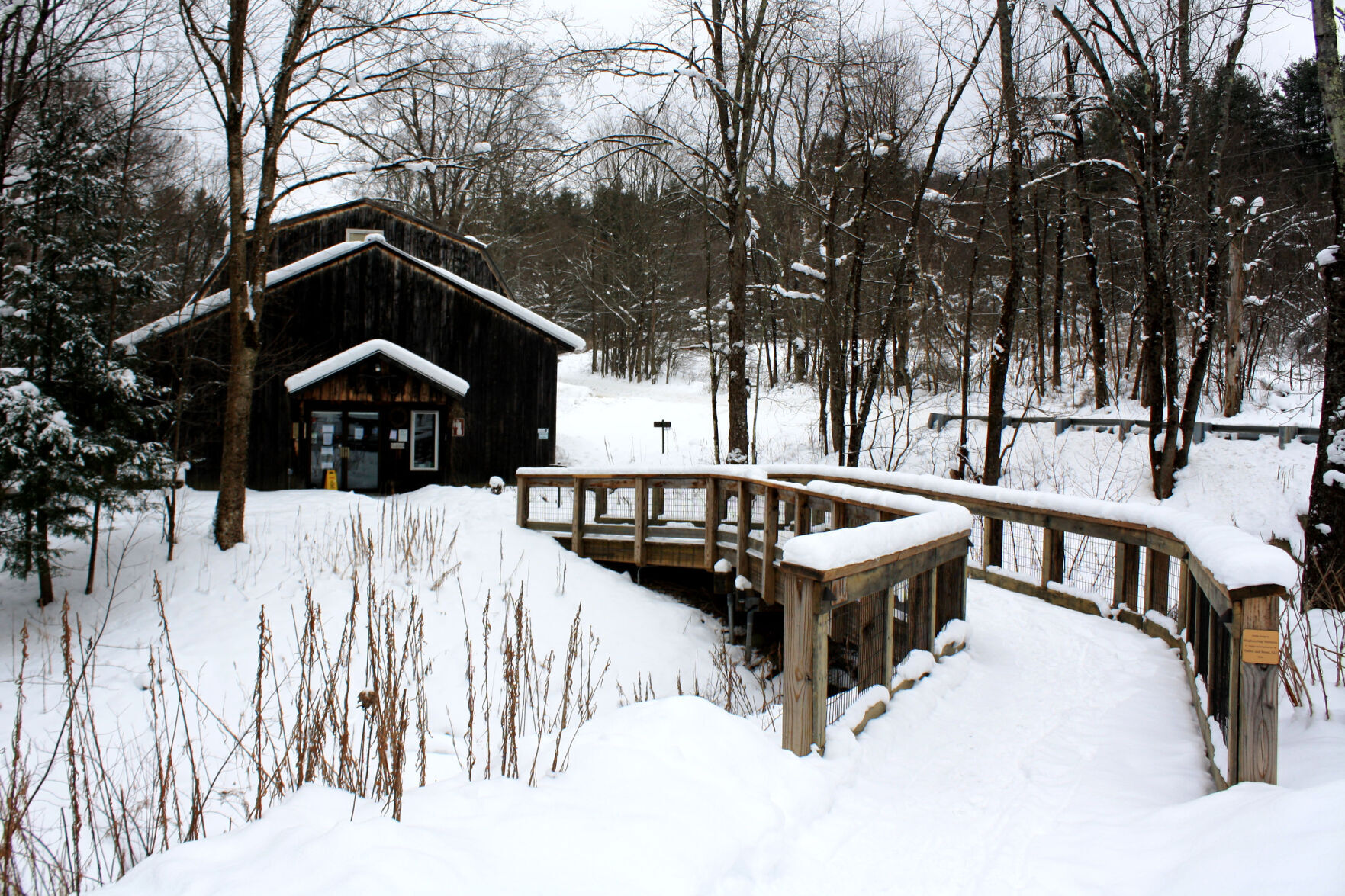 Birds of Vermont Museum
